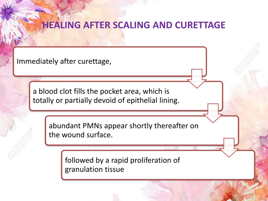 healing after scaling and curettage