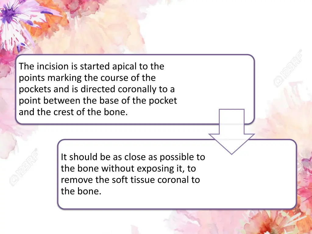 the incision is started apical to the points