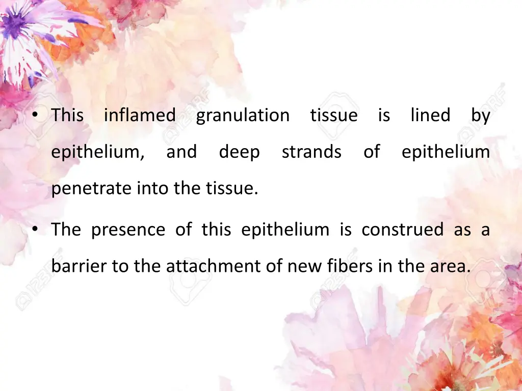 this inflamed granulation tissue is lined by