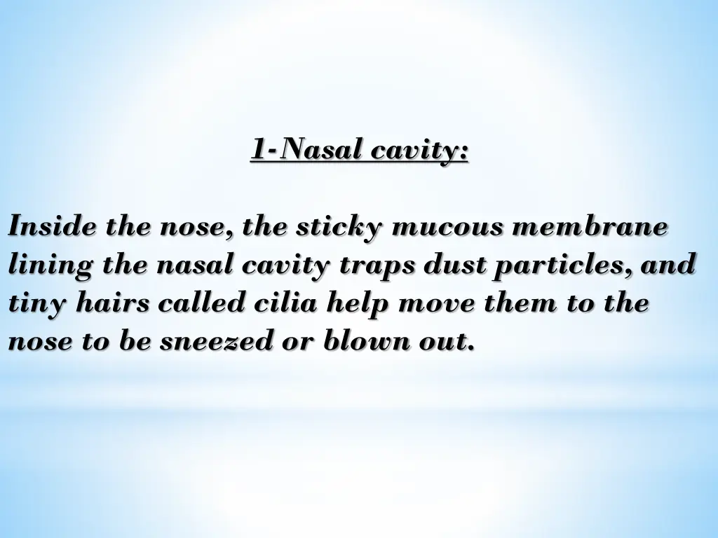 1 nasal cavity