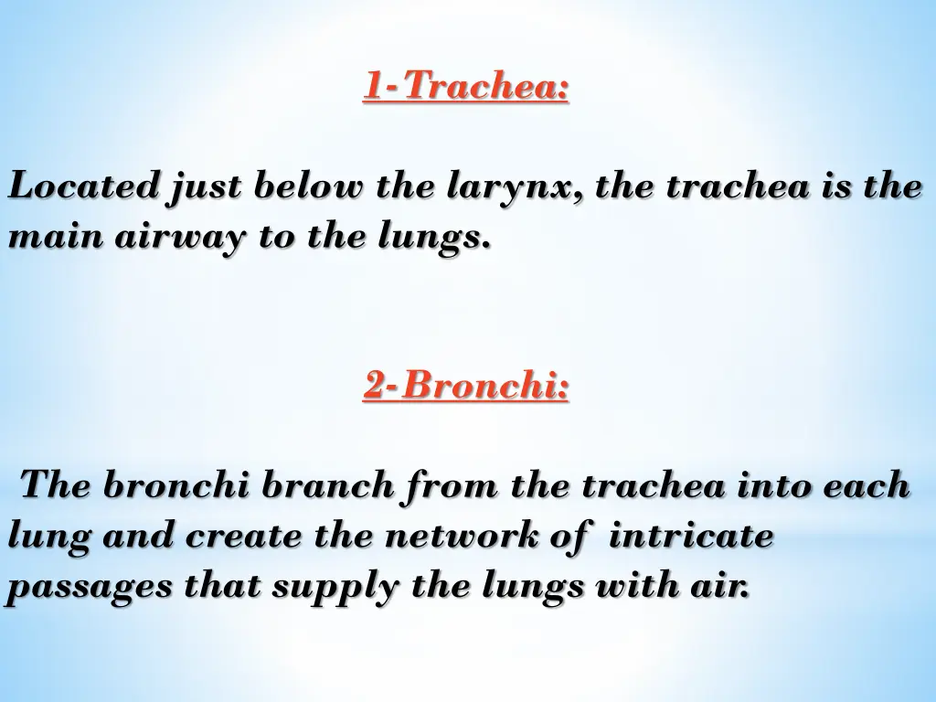 1 trachea