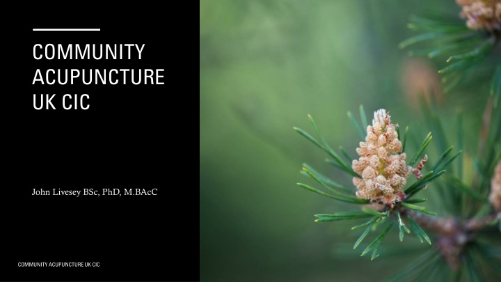 community acupuncture uk cic