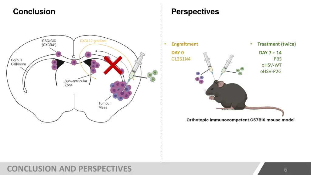conclusion perspectives
