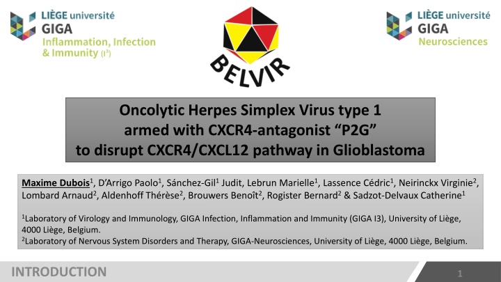 oncolytic herpes simplex virus type 1 armed with