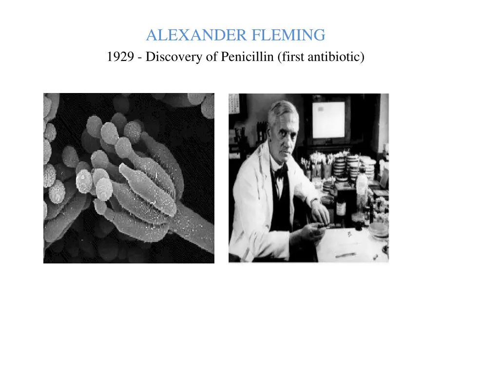 alexander fleming 1929 discovery of penicillin