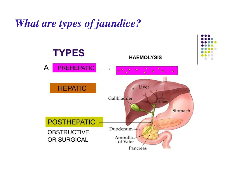 what are types of jaundice