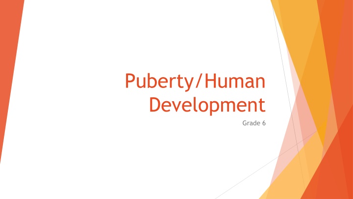puberty human development