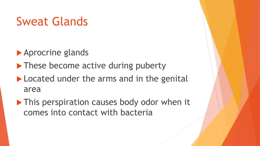 sweat glands 1