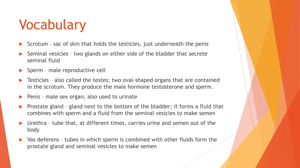 vocabulary 1