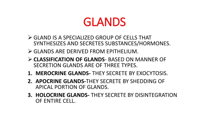 glands glands