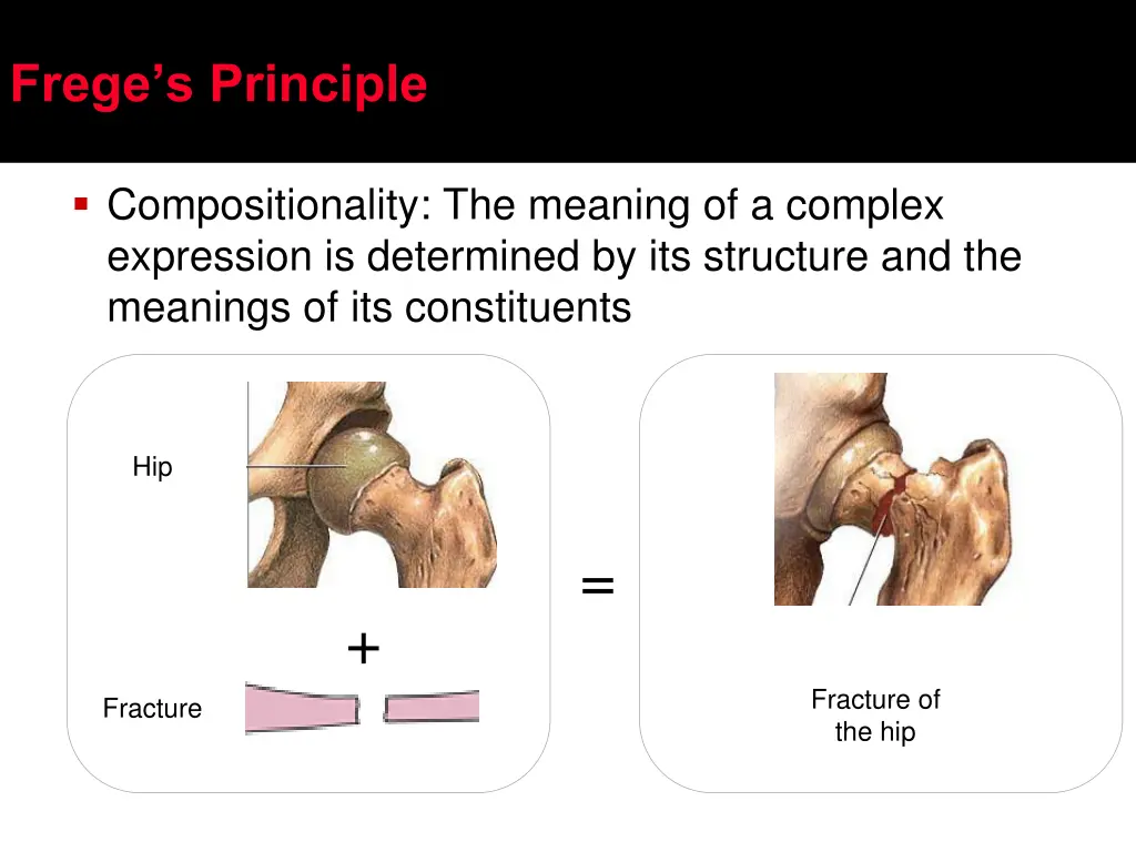 frege s principle