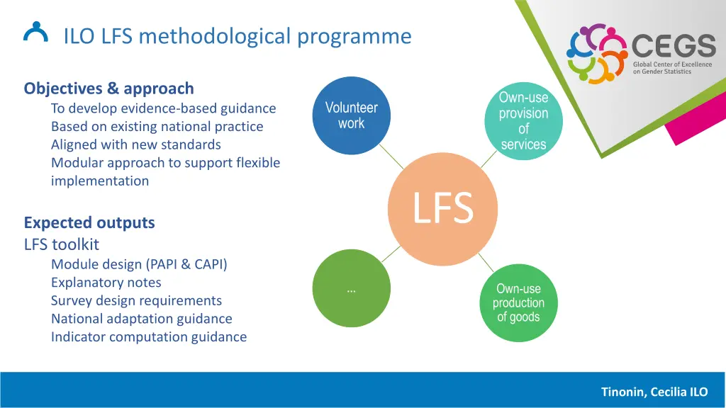 ilo lfs methodological programme