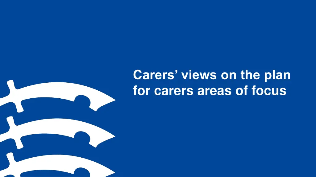 carers views on the plan for carers areas of focus