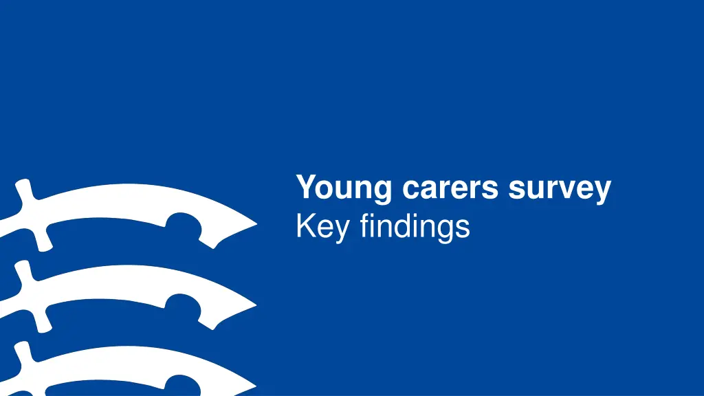 young carers survey key findings