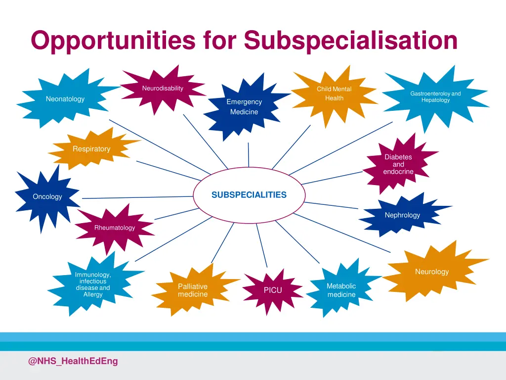 opportunities for subspecialisation