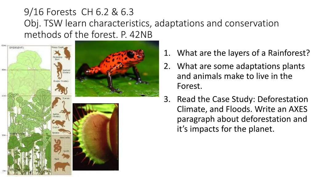 9 16 forests ch 6 2 6 3 obj tsw learn