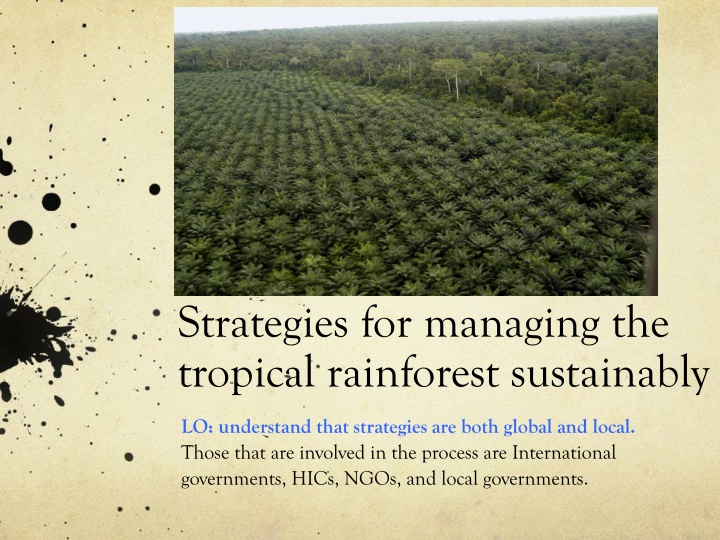 strategies for managing the tropical rainforest