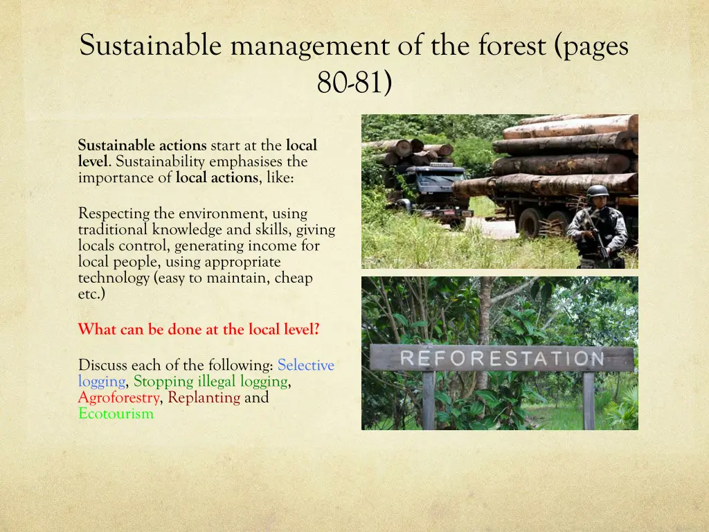 sustainable management of the forest pages 80 81