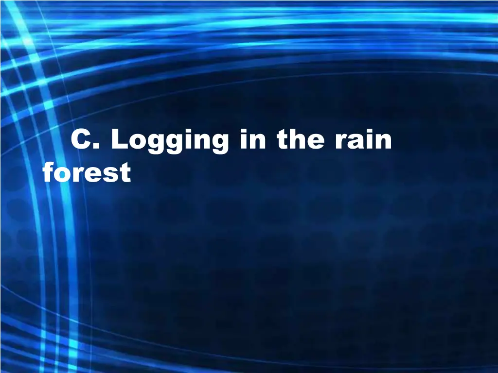c logging in the rain forest