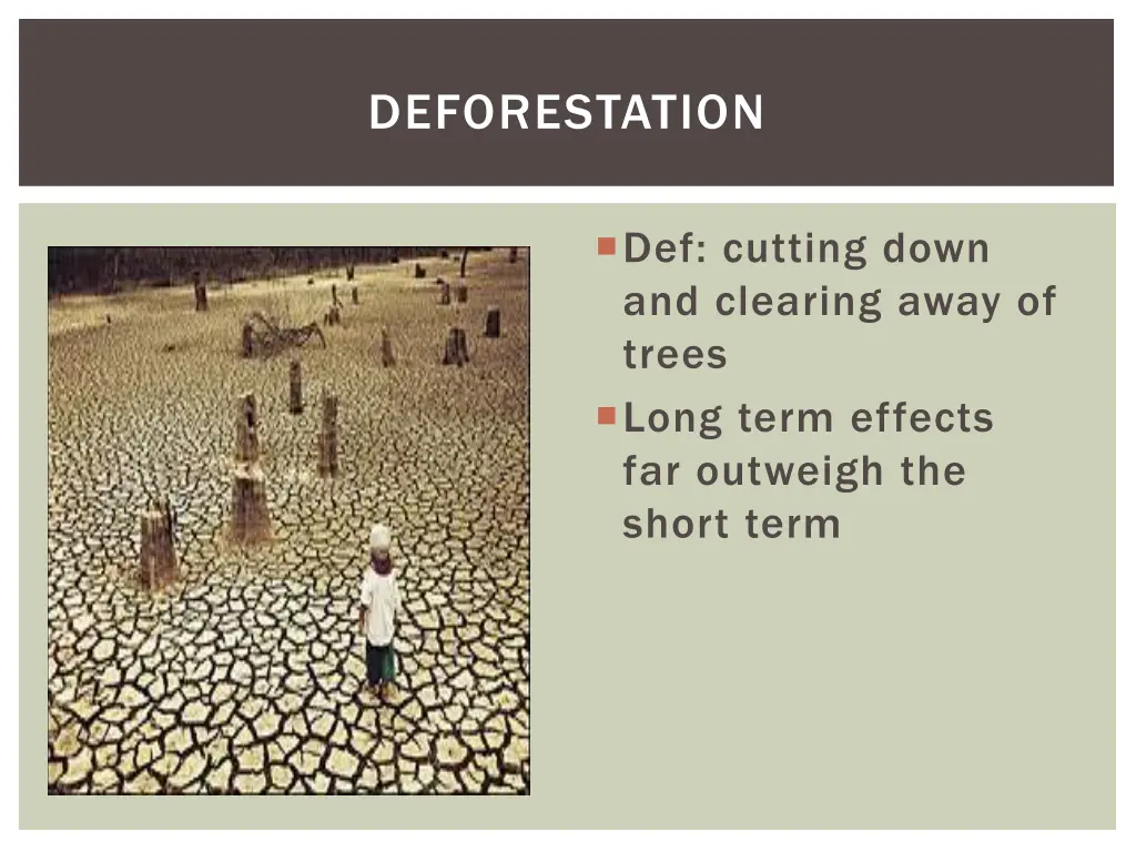 deforestation