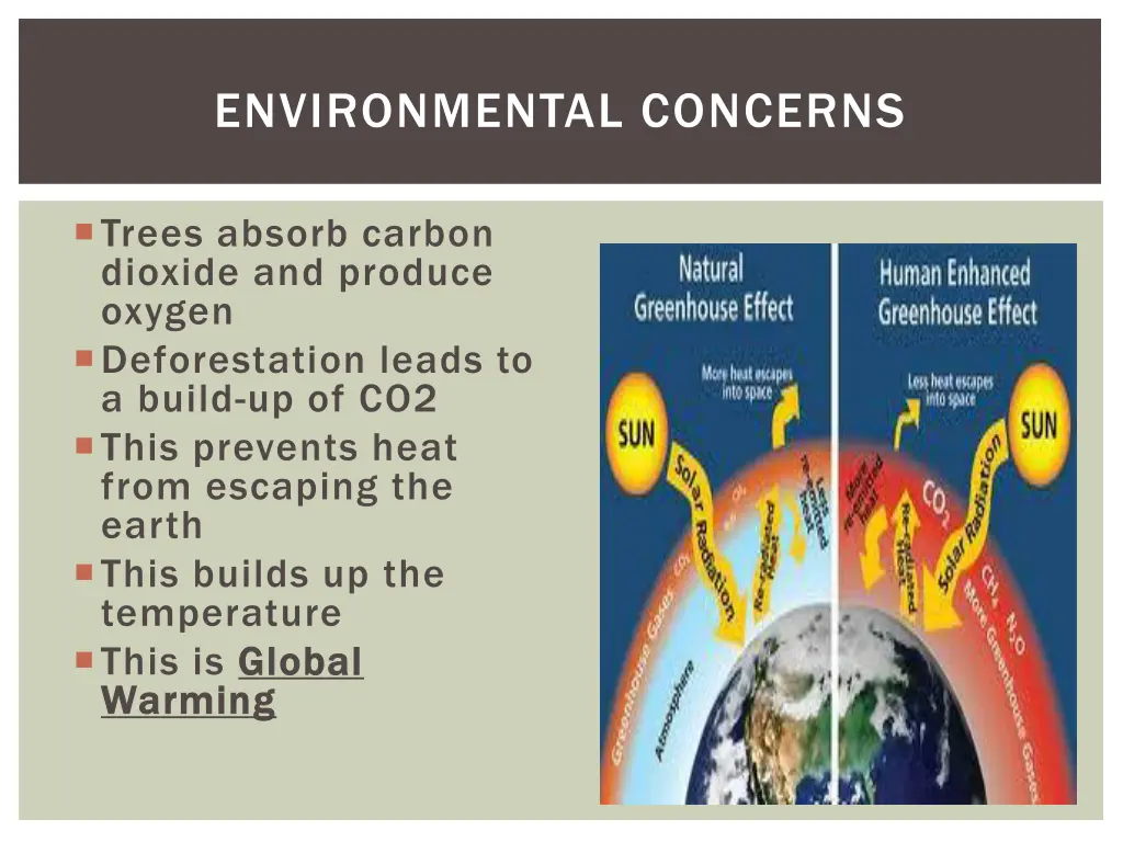 environmental concerns
