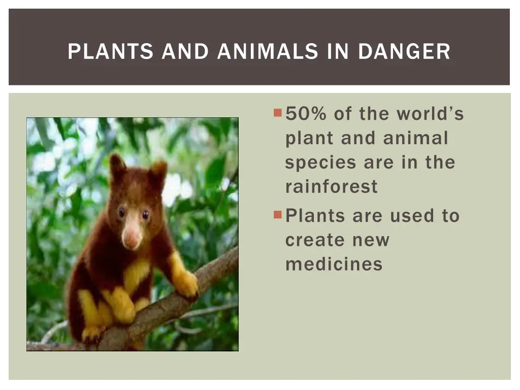 plants and animals in danger