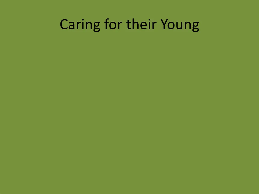 caring for their young