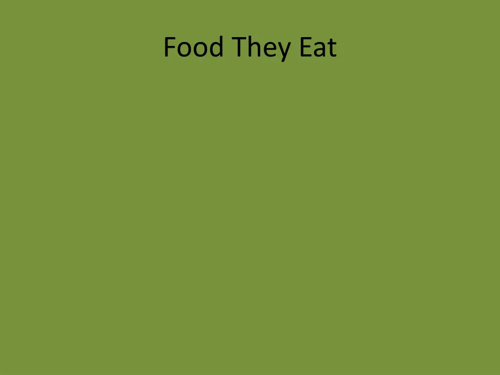 food they eat