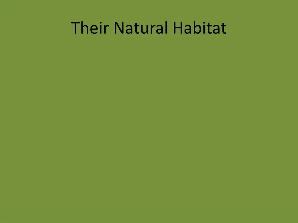 their natural habitat