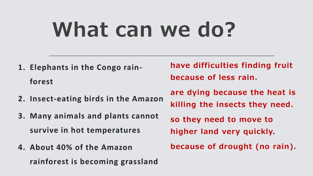 what can we do 1