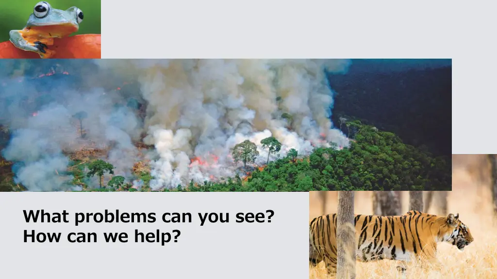 what problems can you see how can we help