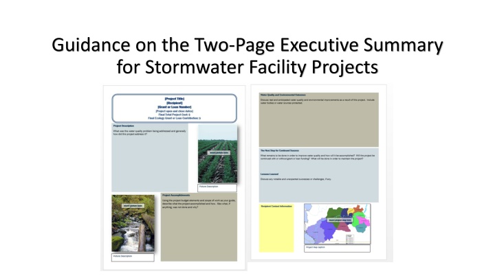 guidance on the two page executive summary