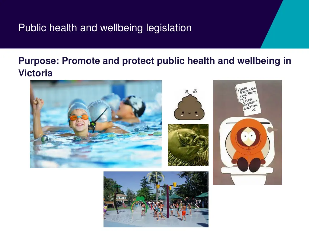public health and wellbeing legislation