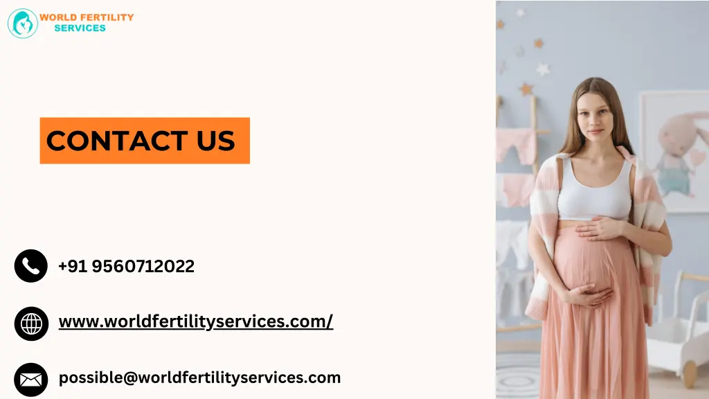 contact us