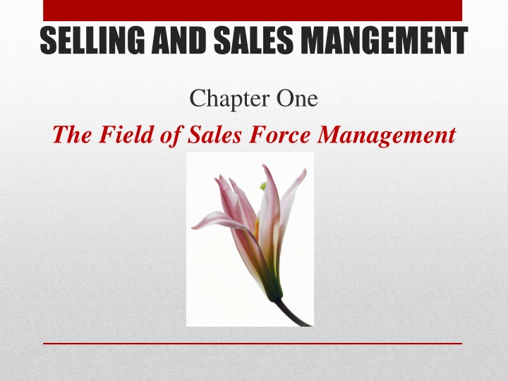 selling and sales mangement
