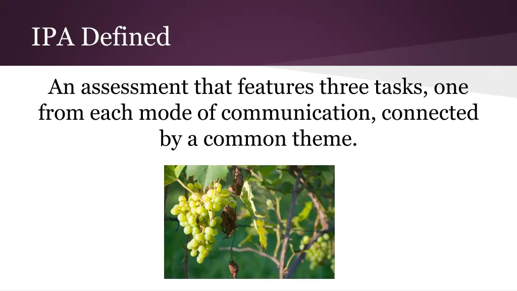 ipa defined