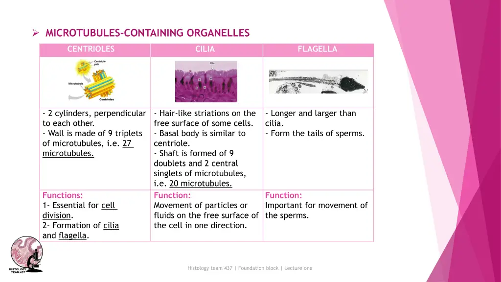 microtubules containing organelles