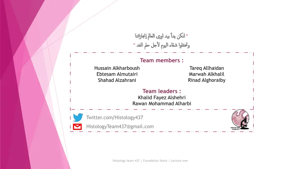 slide19