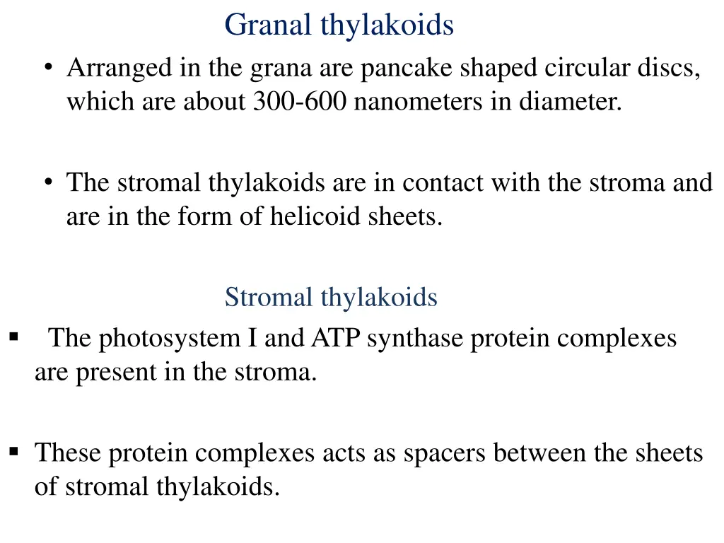 granal thylakoids