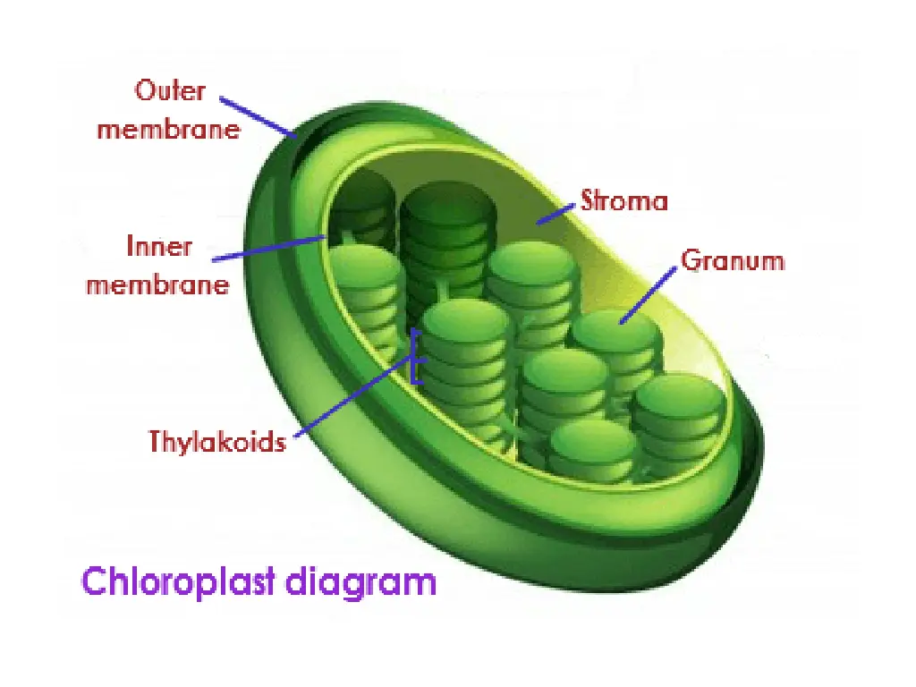slide3