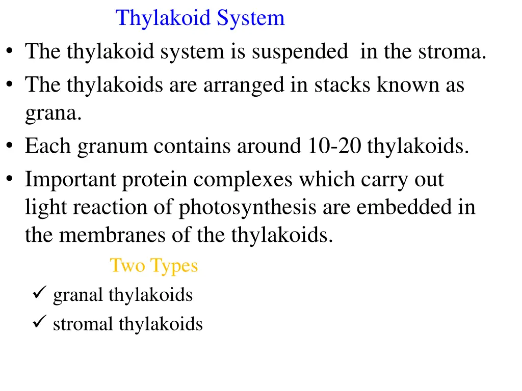 thylakoid system
