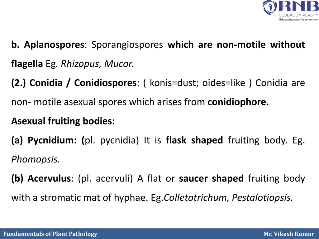 b aplanospores sporangiospores which