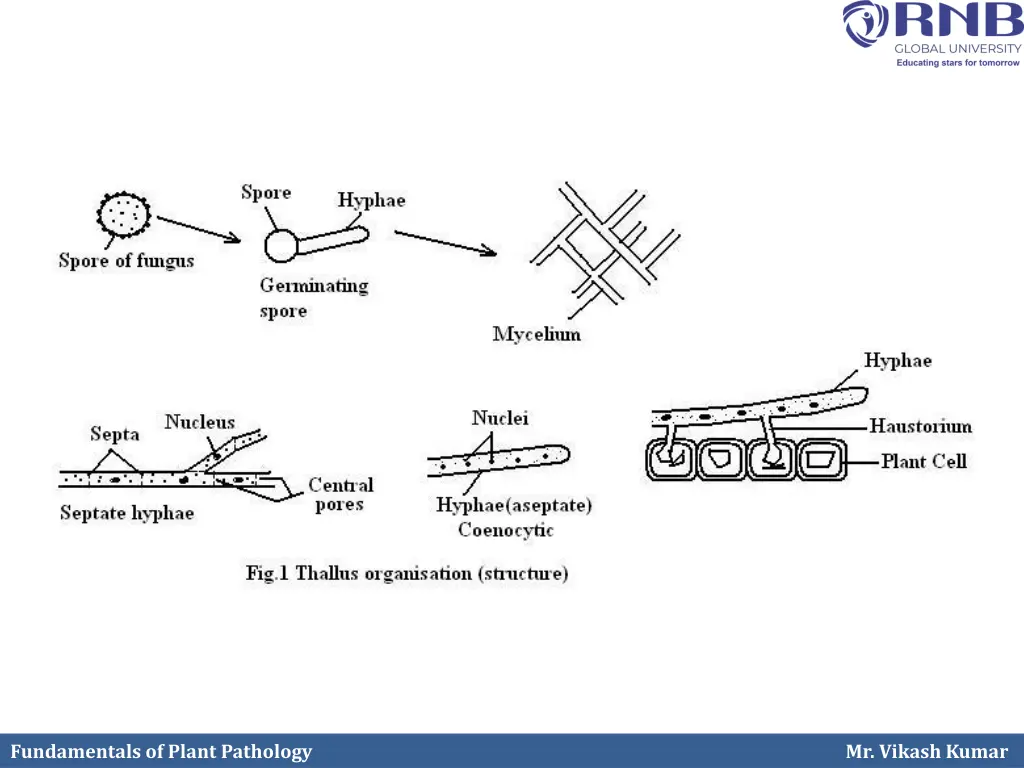 fundamentals of plant pathology