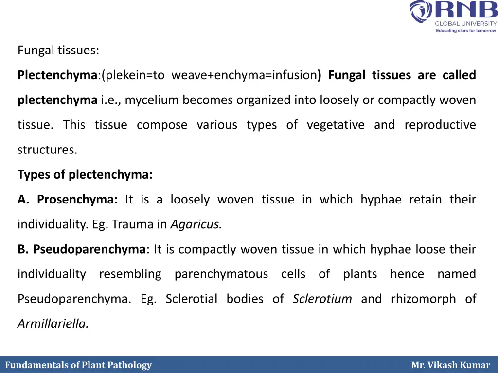 fungal tissues