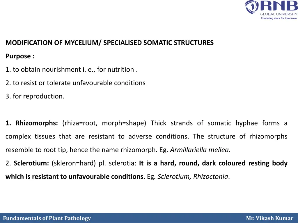modification of mycelium specialised somatic