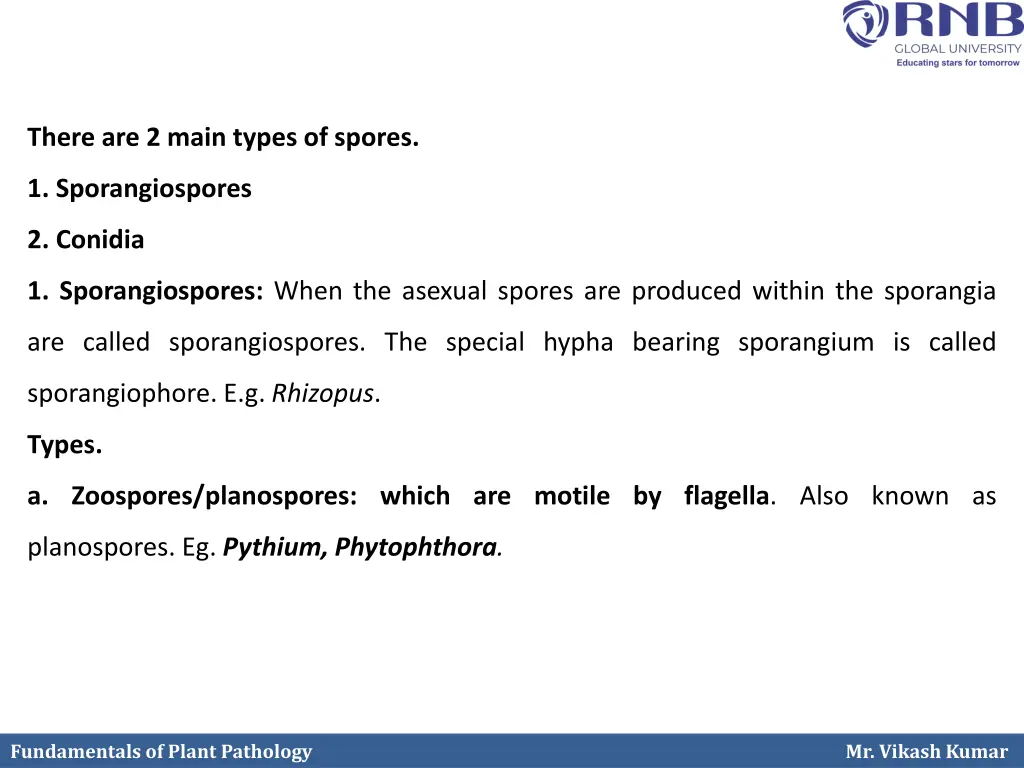 there are 2 main types of spores