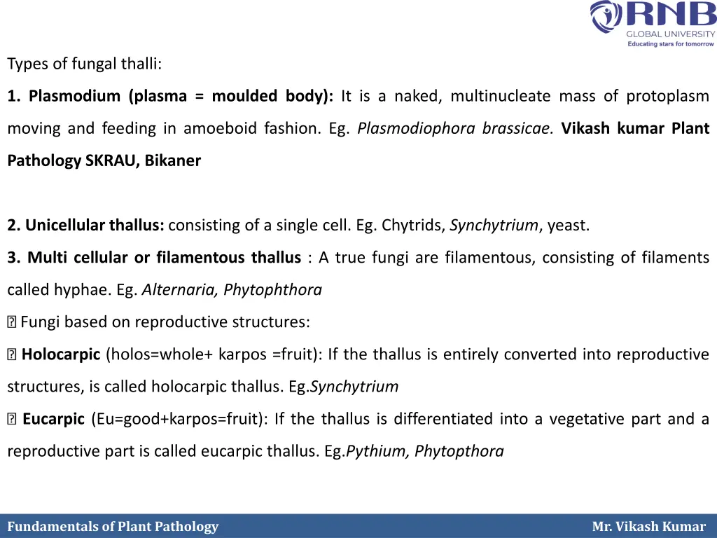 types of fungal thalli