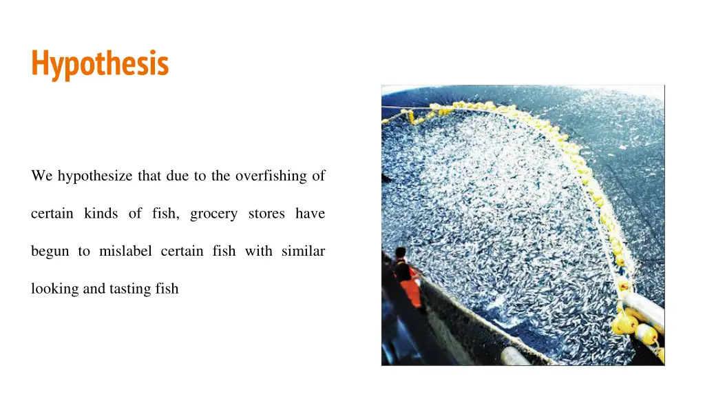 hypothesis