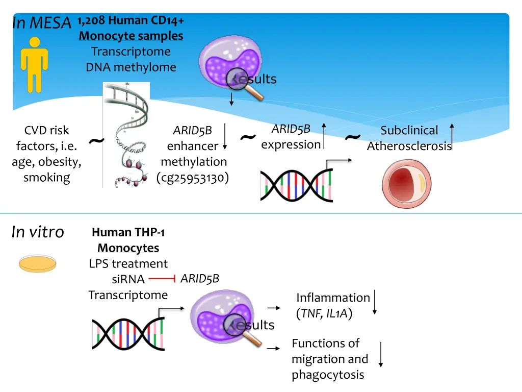 1 208 human cd14 monocyte samples transcriptome