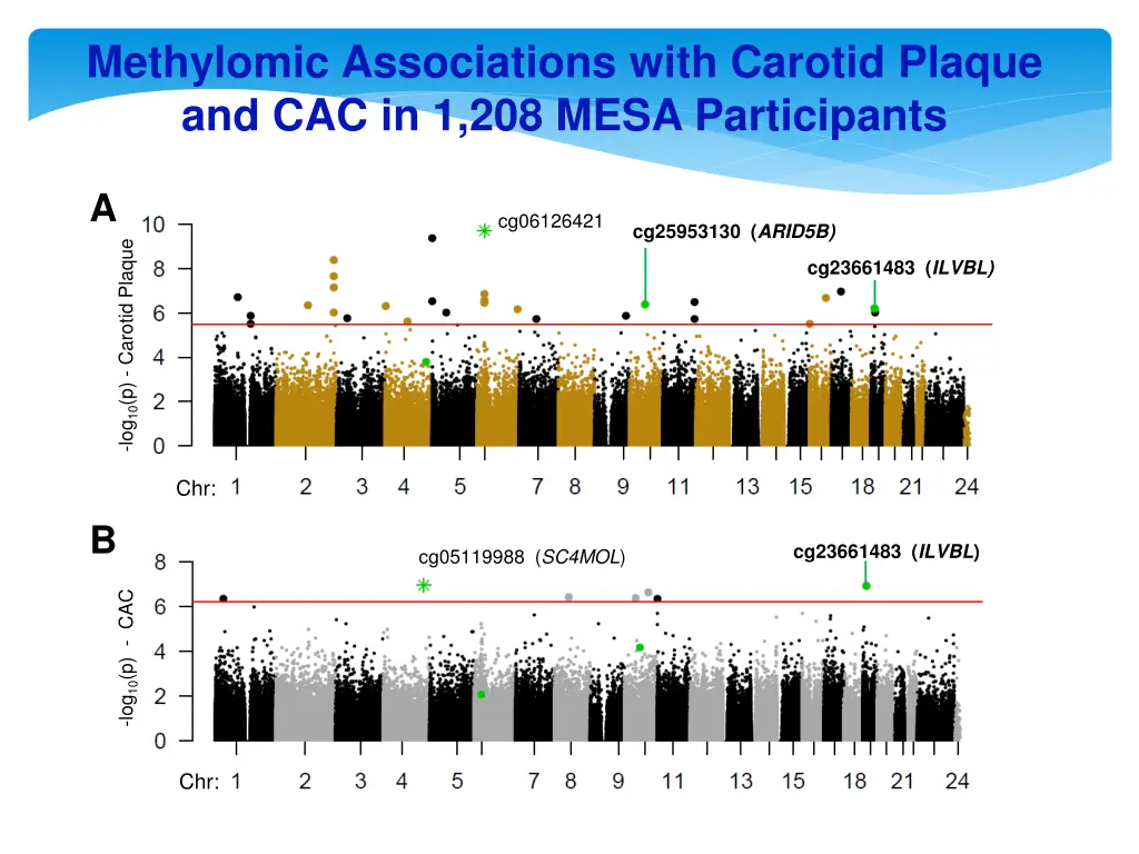 methylomic associations with carotid plaque